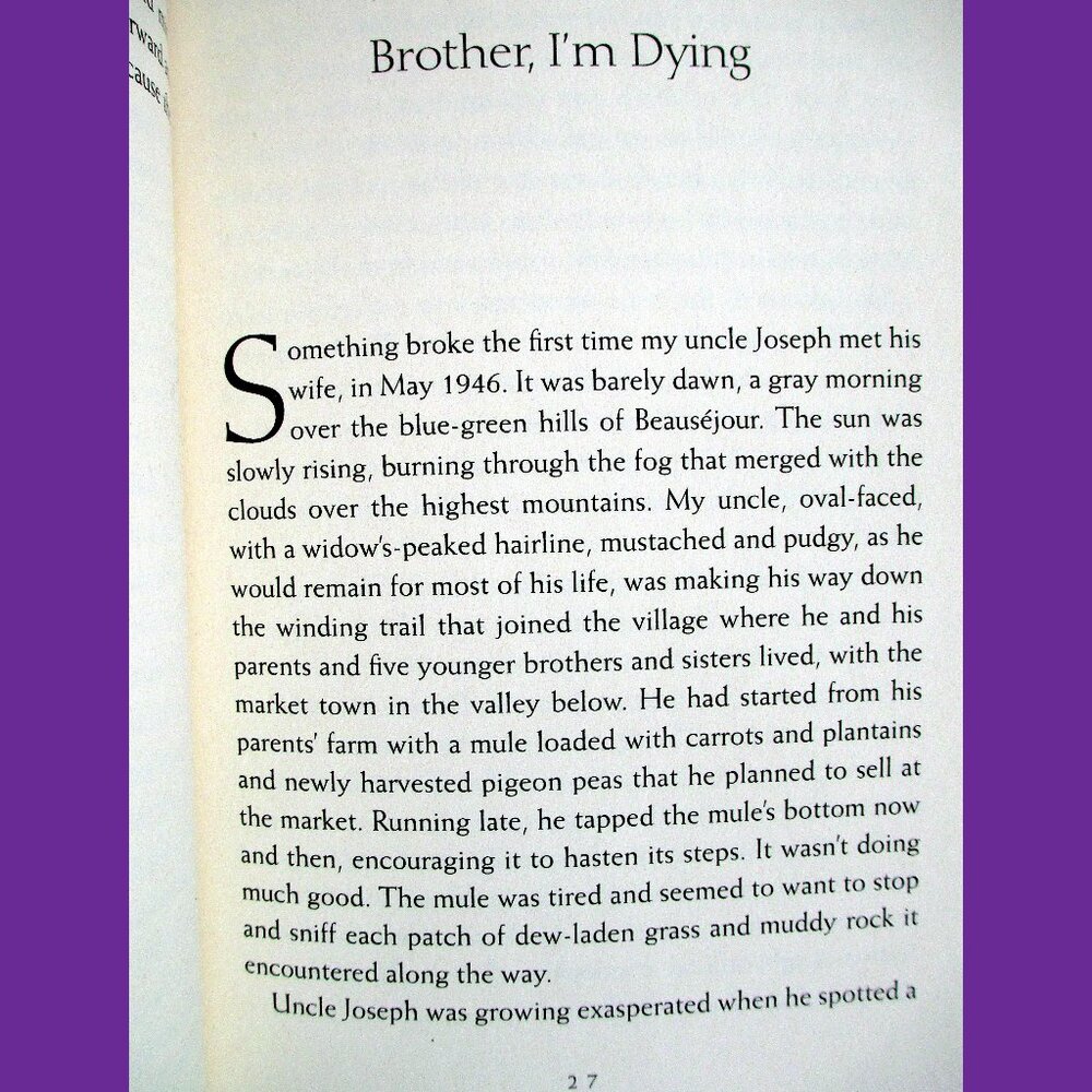 Book: Brother, I'm Dying (Autobiography) by Edwidge Danticat - Picture 4 of 8